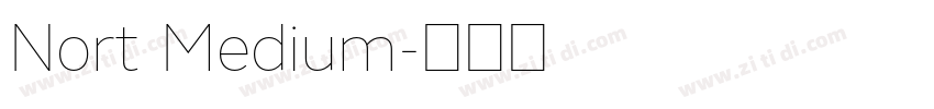 Nort Medium字体转换